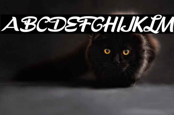 Death Before Chocolate Personal Use  Example 2