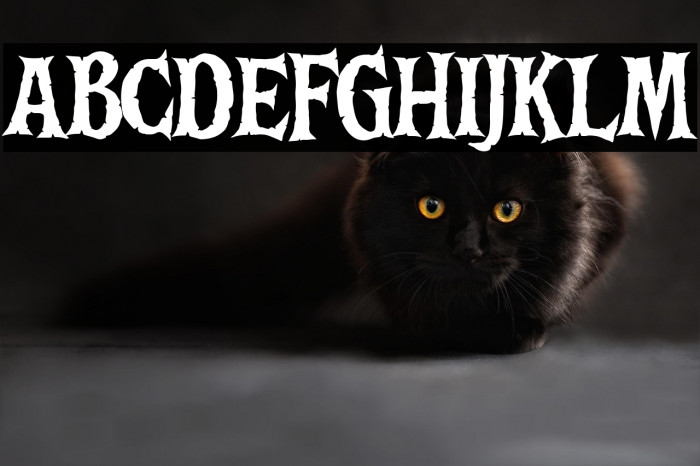 Death Bones Regular Example 1