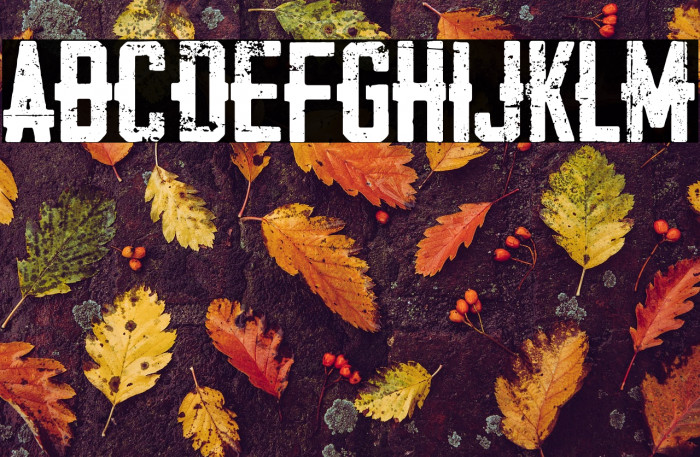 Death College Example 3