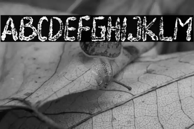 Death Demon Шрифта examples