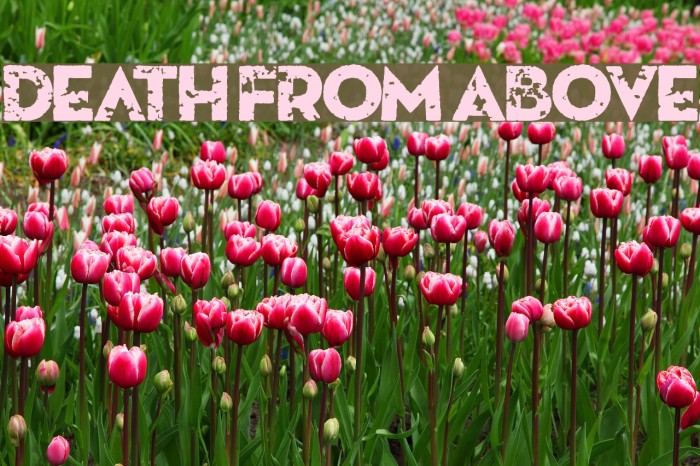Death From Above Font examples