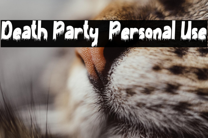 Death Party - Personal Use Example 3