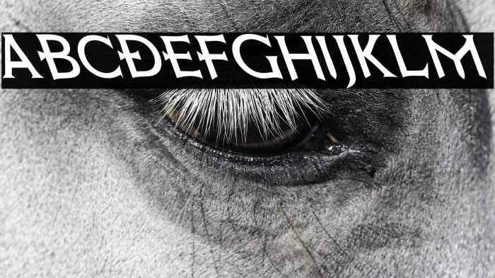 Death Record Oblique Example 2