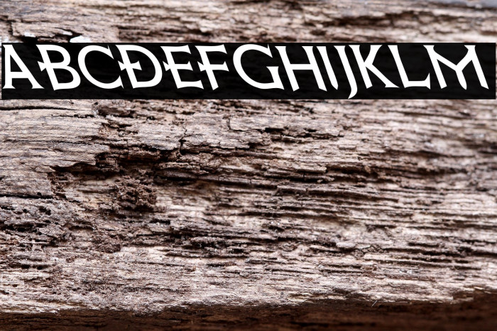 Death Record Oblique Example 3