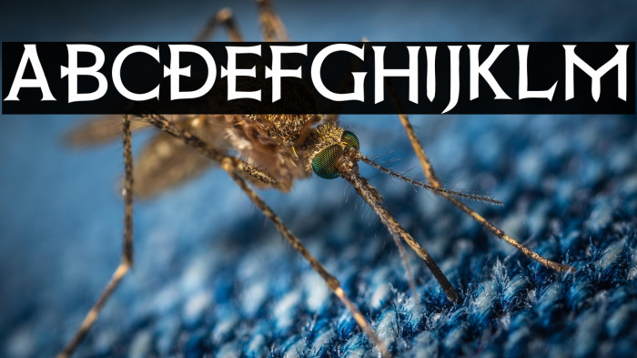 Death Record Example 2