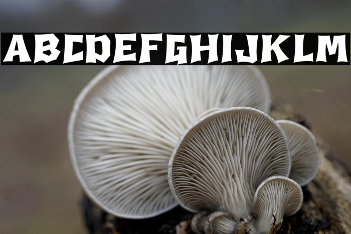 Death Squire Example 3