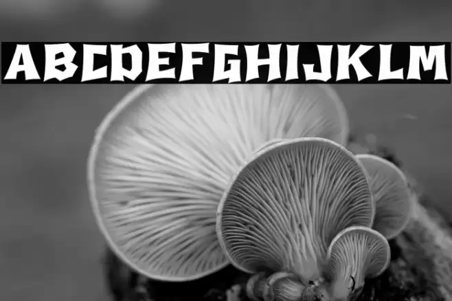 Death Squire フォント examples