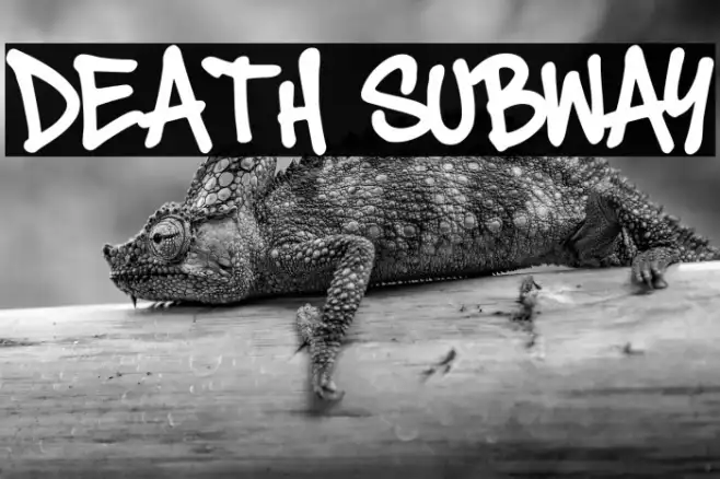 Death Subway Example 2