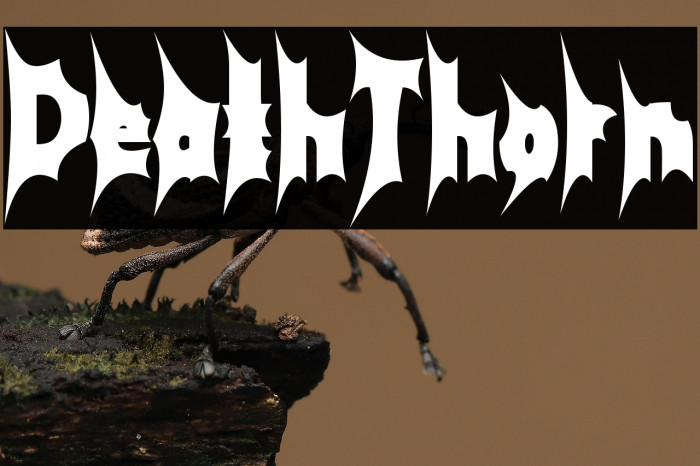 Death Thorn Example 1