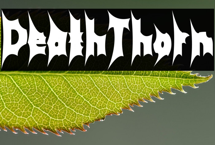 Death Thorn Example 2