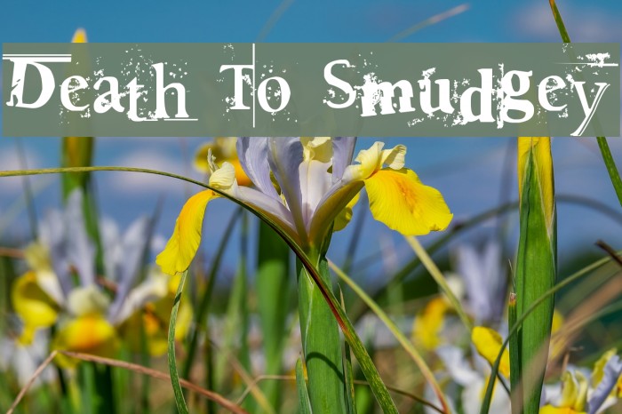 Death To Smudgey Font examples