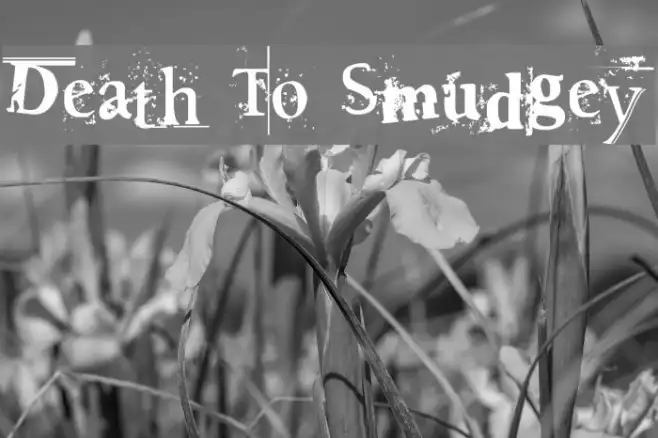 Death To Smudgey Example 1