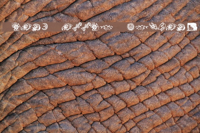 Death Valley Dingbats Font examples