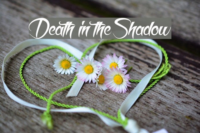 Death in the Shadow Example 1