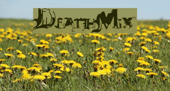 DeathMix Example 3