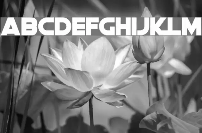 DeathStar Font examples