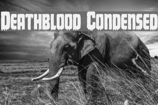 Deathblood Condensed Font examples