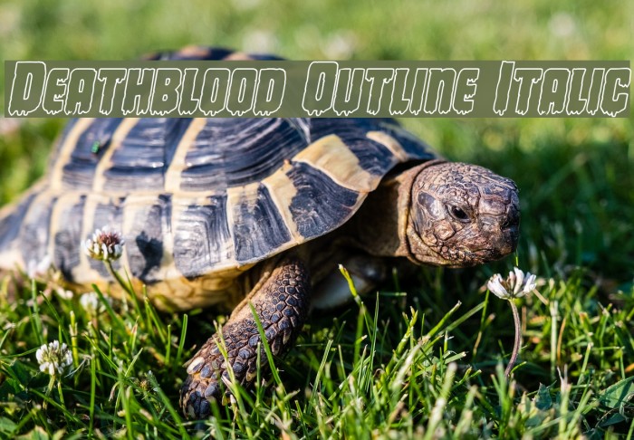 Deathblood Outline Italic Example 2