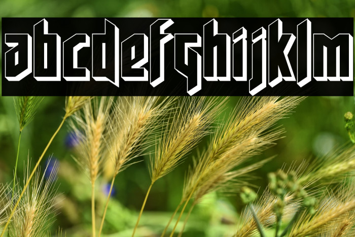 Deathshead 3D Example 1