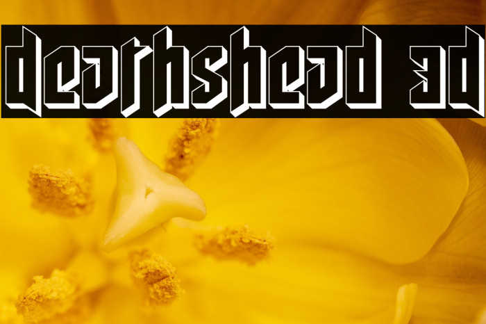 Deathshead 3D Example 3