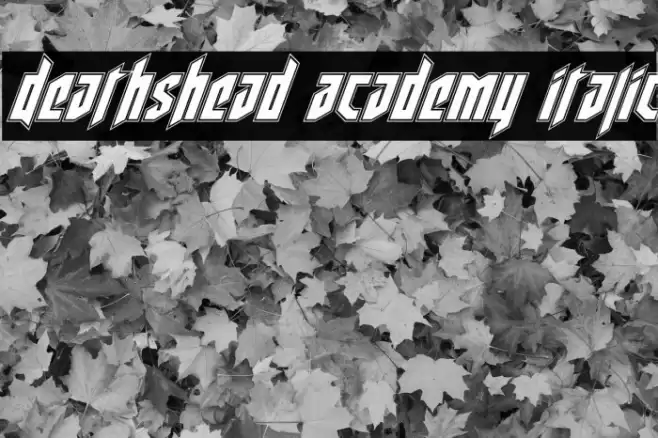 Deathshead Academy Italic Font examples