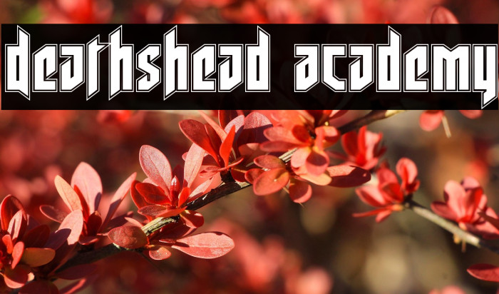 Deathshead Academy Example 1