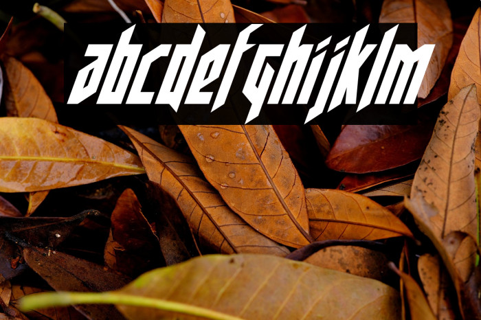 Deathshead Condensed Italic Example 1