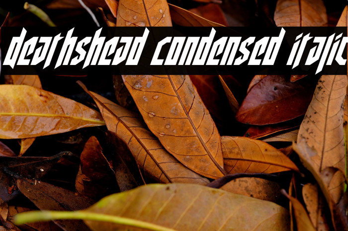Deathshead Condensed Italic Example 2