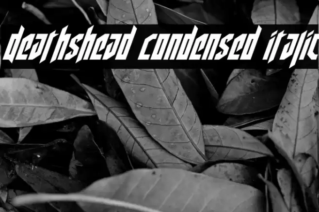 Deathshead Condensed Italic Font examples