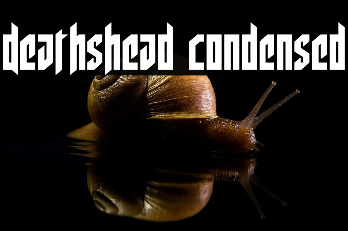 Deathshead Condensed Example 3