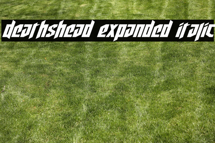 Deathshead Expanded Italic Example 1