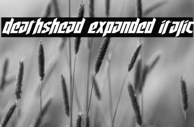 Deathshead Expanded Italic Font examples