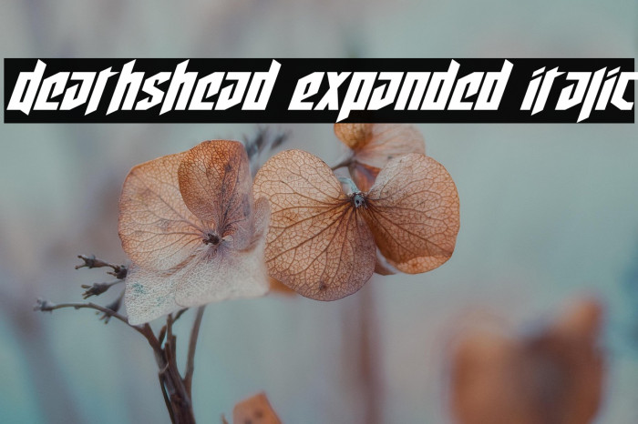 Deathshead Expanded Italic Example 3