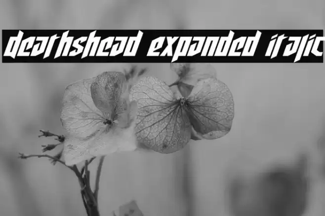 Deathshead Expanded Italic Font examples