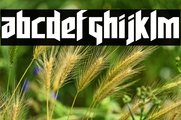 Deathshead Expanded Example 1