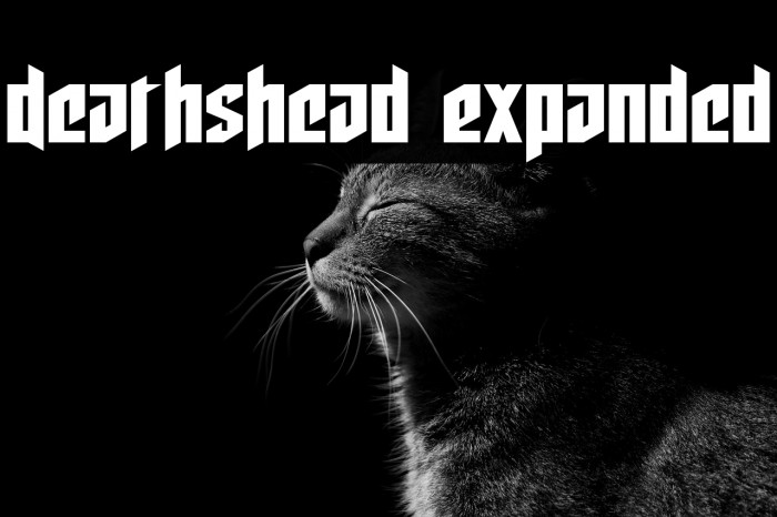 Deathshead Expanded Example 2