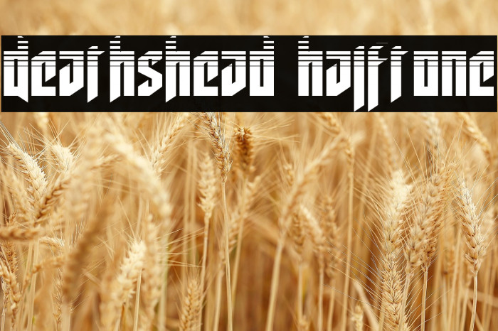 Deathshead Halftone Example 3