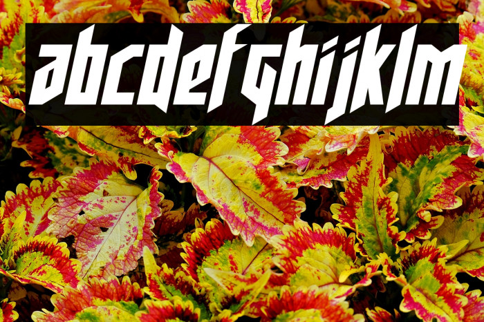 Deathshead Semi-Italic Example 1