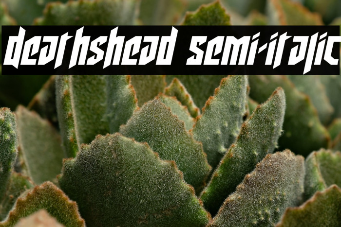 Deathshead Semi-Italic Example 2