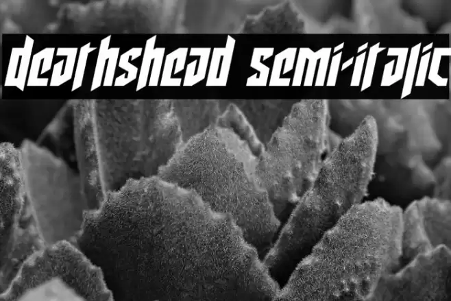 Deathshead Semi-Italic Font examples