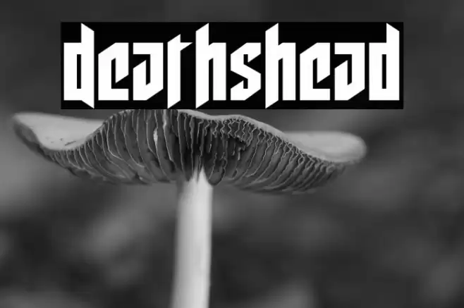 Deathshead Font examples