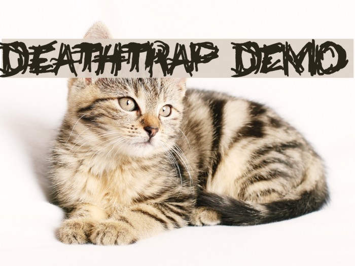 Deathtrap DEMO Font examples