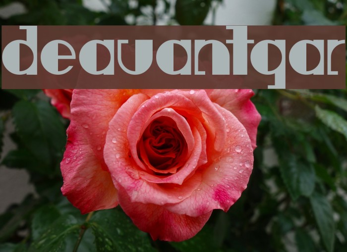 Deavantgar Example 1