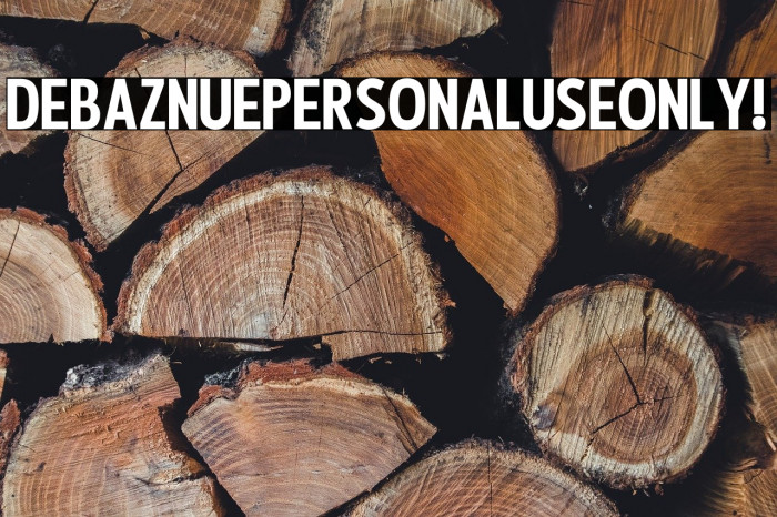 Debaznue PERSONAL USE ONLY! Example 2