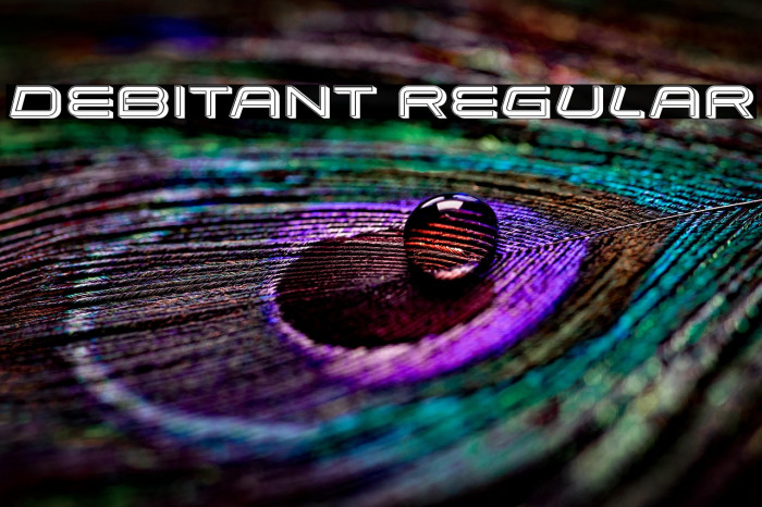 Debitant Regular Example 1