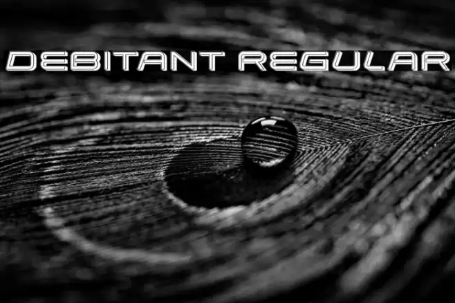 Debitant Regular Font examples
