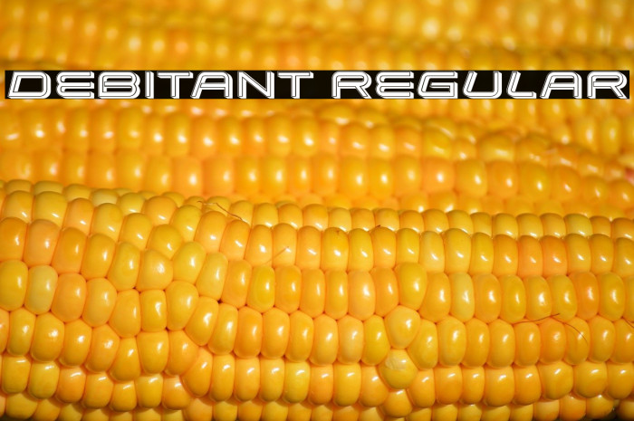 Debitant Regular Example 3