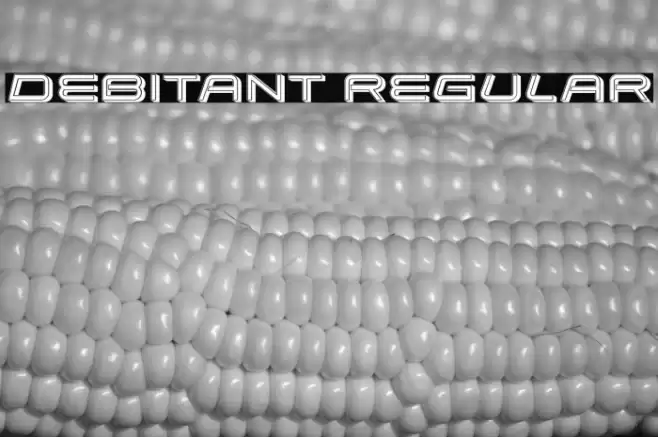 Debitant Regular Font examples