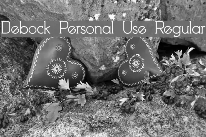 Debock Personal Use Regular Example 2