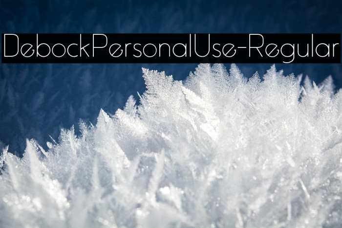 DebockPersonalUse-Regular Example 3